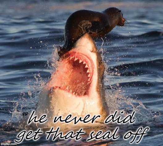 Travelonshark |  he never did get that seal off | image tagged in memes,travelonshark | made w/ Imgflip meme maker