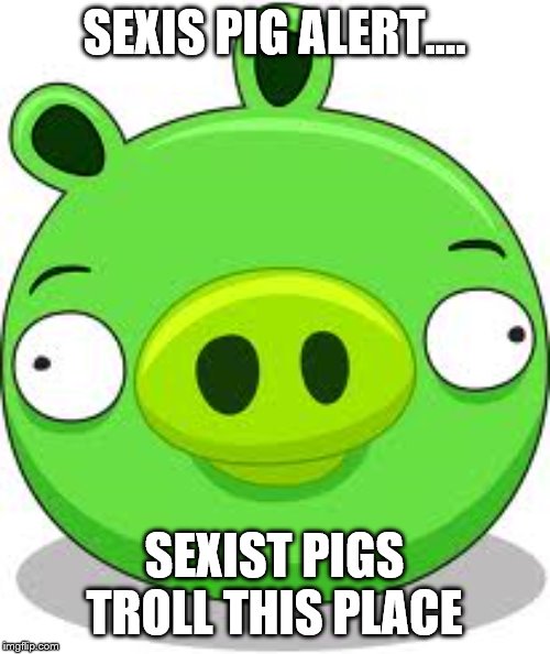 Angry Birds Pig | SEXIS PIG ALERT.... SEXIST PIGS TROLL THIS PLACE | image tagged in memes,angry birds pig | made w/ Imgflip meme maker