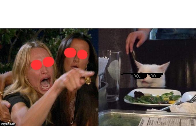 Woman Yelling At Cat | image tagged in memes,woman yelling at cat | made w/ Imgflip meme maker