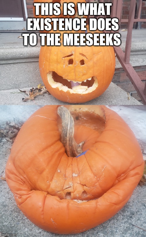 THIS IS WHAT EXISTENCE DOES TO THE MEESEEKS | made w/ Imgflip meme maker