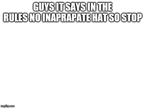 Blank White Template | GUYS IT SAYS IN THE RULES NO INAPRAPATE HAT SO STOP | image tagged in blank white template | made w/ Imgflip meme maker