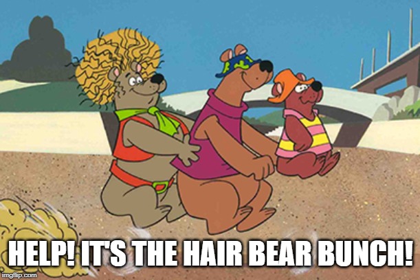 a 70s Classic | HELP! IT'S THE HAIR BEAR BUNCH! | image tagged in cartoons | made w/ Imgflip meme maker