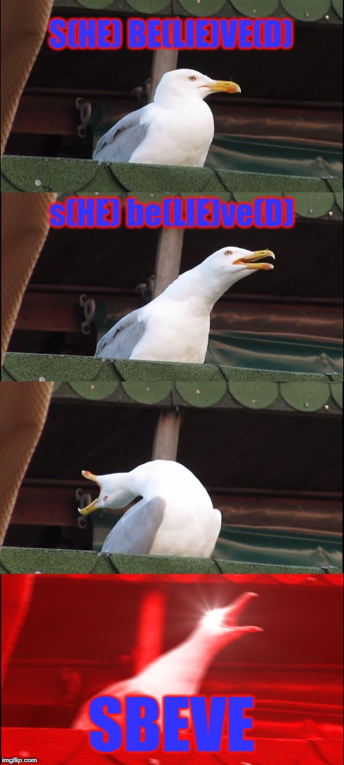 Inhaling Seagull Meme | S(HE) BE(LIE)VE(D); s(HE) be(LIE)ve(D); SBEVE | image tagged in memes,inhaling seagull | made w/ Imgflip meme maker