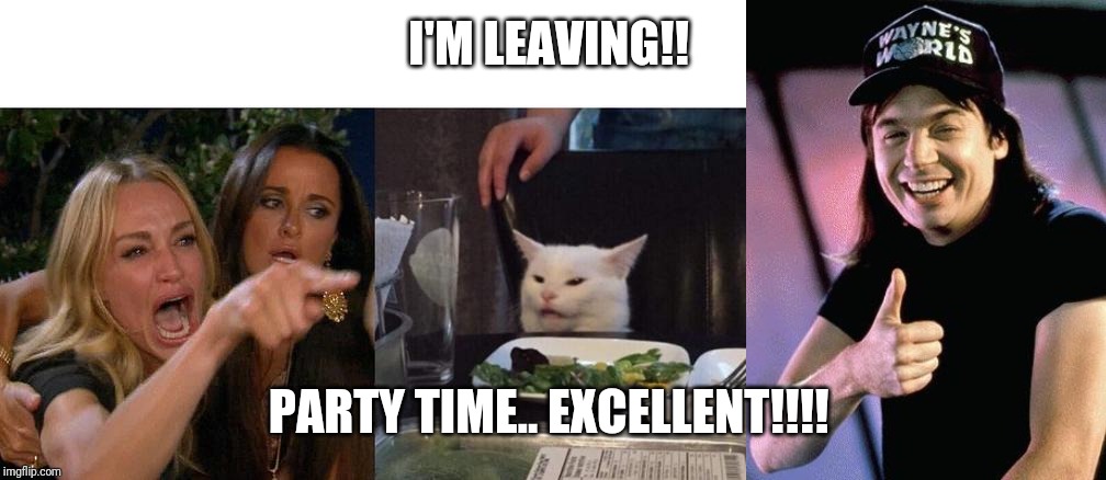 I'M LEAVING!! PARTY TIME.. EXCELLENT!!!! | image tagged in wayne's world,memes,woman yelling at cat | made w/ Imgflip meme maker