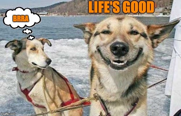 Original Stoner Dog | LIFE'S GOOD; BRRA | image tagged in memes,original stoner dog | made w/ Imgflip meme maker