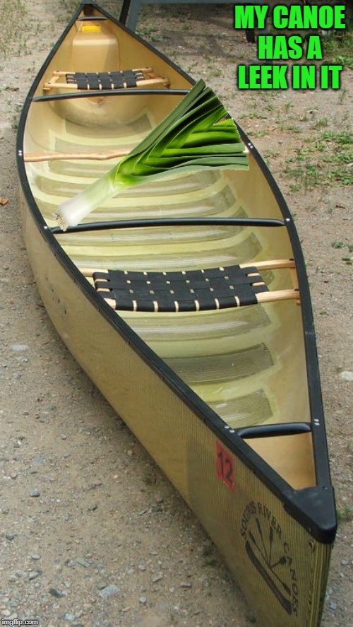 leek in my canoe | MY CANOE HAS A LEEK IN IT | image tagged in canoe,leek | made w/ Imgflip meme maker