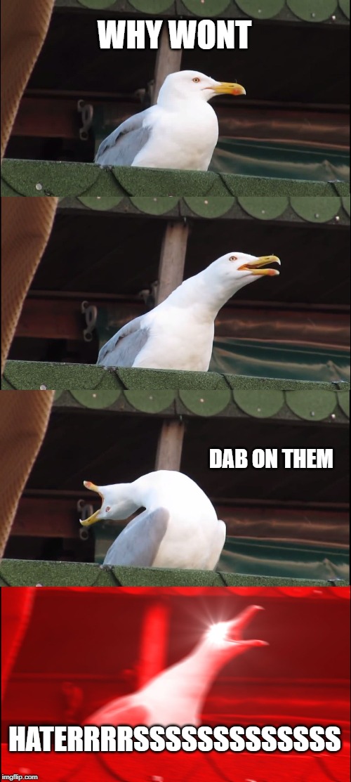 Inhaling Seagull | WHY WONT; DAB ON THEM; HATERRRRSSSSSSSSSSSSS | image tagged in memes,inhaling seagull | made w/ Imgflip meme maker