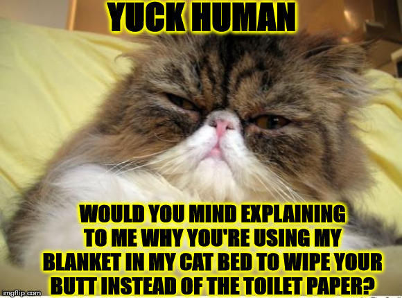 YUCK | YUCK HUMAN; WOULD YOU MIND EXPLAINING TO ME WHY YOU'RE USING MY BLANKET IN MY CAT BED TO WIPE YOUR BUTT INSTEAD OF THE TOILET PAPER? | image tagged in yuck | made w/ Imgflip meme maker