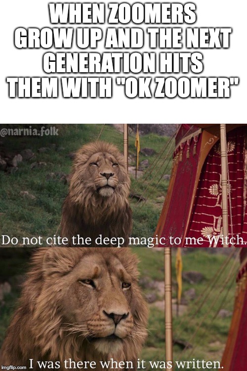 Do not cite the deep magic to me witch | WHEN ZOOMERS GROW UP AND THE NEXT GENERATION HITS THEM WITH "OK ZOOMER" | image tagged in do not cite the deep magic to me witch | made w/ Imgflip meme maker