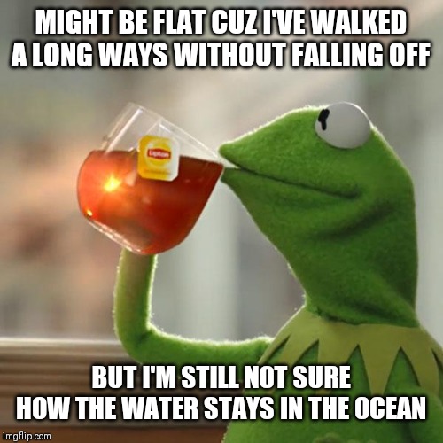 But That's None Of My Business Meme | MIGHT BE FLAT CUZ I'VE WALKED A LONG WAYS WITHOUT FALLING OFF BUT I'M STILL NOT SURE HOW THE WATER STAYS IN THE OCEAN | image tagged in memes,but thats none of my business,kermit the frog | made w/ Imgflip meme maker