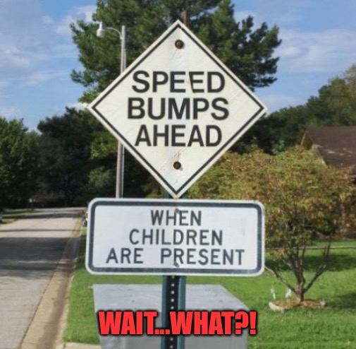 WAIT...WHAT?! | image tagged in funny | made w/ Imgflip meme maker