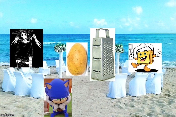 Florida Beach Wedding - 2019 | image tagged in florida beach wedding - 2019 | made w/ Imgflip meme maker