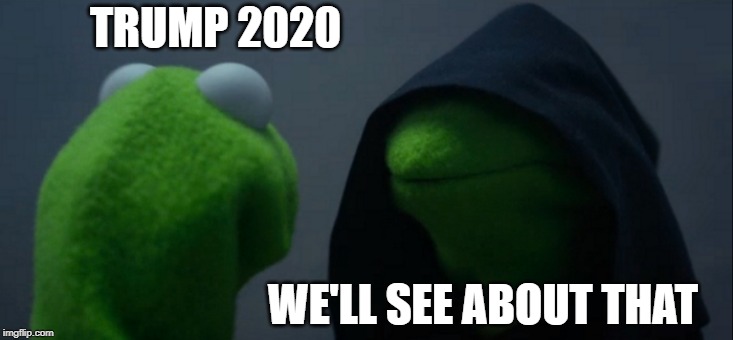 Evil Kermit | TRUMP 2020; WE'LL SEE ABOUT THAT | image tagged in memes,evil kermit | made w/ Imgflip meme maker