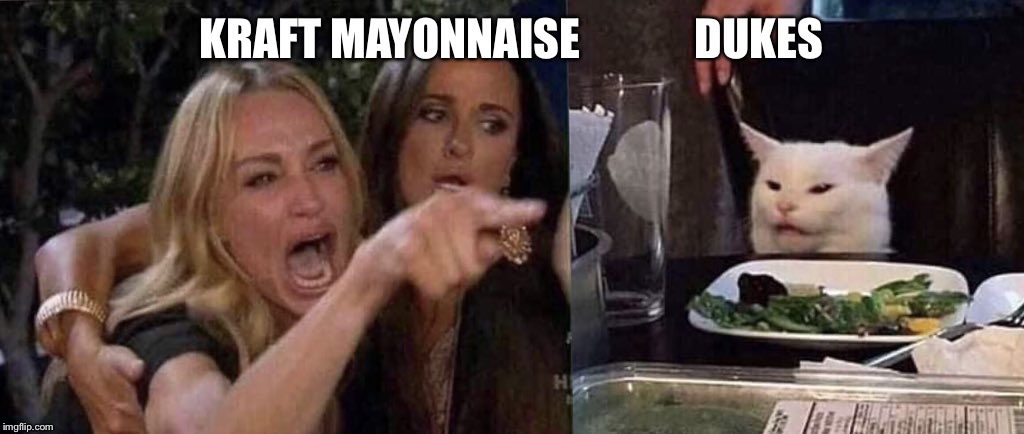 woman yelling at cat | KRAFT MAYONNAISE             DUKES | image tagged in woman yelling at cat | made w/ Imgflip meme maker