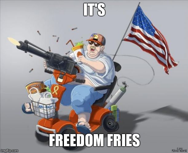 Murica | IT'S FREEDOM FRIES | image tagged in murica | made w/ Imgflip meme maker