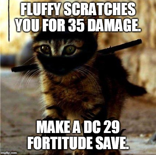 The commoners are so doomed now. | FLUFFY SCRATCHES YOU FOR 35 DAMAGE. MAKE A DC 29 FORTITUDE SAVE. | image tagged in ninja cat | made w/ Imgflip meme maker