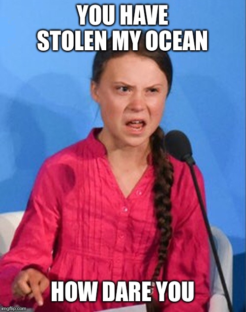 Greta Thunberg how dare you | YOU HAVE STOLEN MY OCEAN; HOW DARE YOU | image tagged in greta thunberg how dare you | made w/ Imgflip meme maker