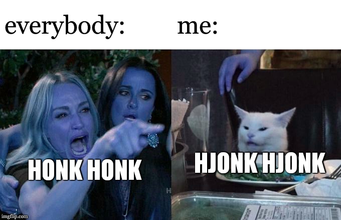 Woman Yelling At Cat Meme | everybody:; me:; HJONK HJONK; HONK HONK | image tagged in memes,woman yelling at cat | made w/ Imgflip meme maker