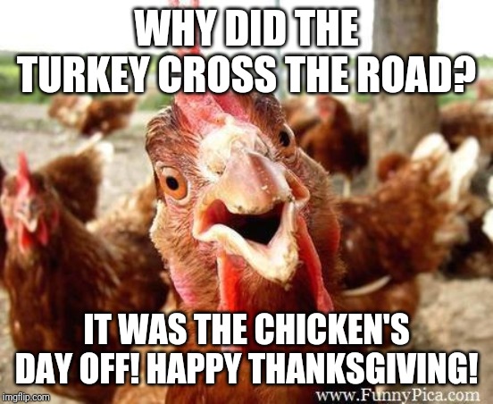 Clean Thanksgiving joke | WHY DID THE TURKEY CROSS THE ROAD? IT WAS THE CHICKEN'S DAY OFF! HAPPY THANKSGIVING! | image tagged in chicken | made w/ Imgflip meme maker