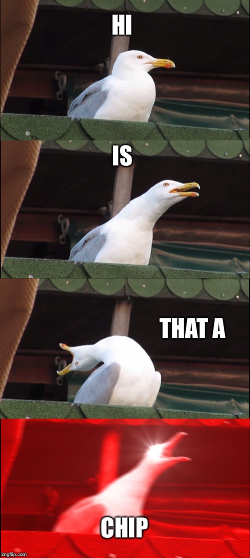 Inhaling Seagull | HI; IS; THAT A; CHIP | image tagged in memes,inhaling seagull | made w/ Imgflip meme maker