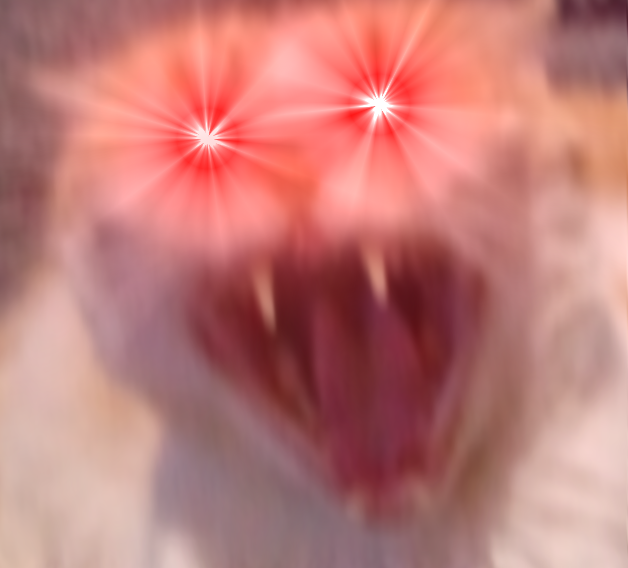 High Quality Angry cat Blank Meme Template