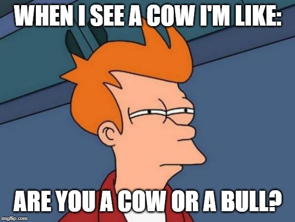 Futurama Fry Meme | WHEN I SEE A COW I'M LIKE:; ARE YOU A COW OR A BULL? | image tagged in memes,futurama fry,cows,bulls,confused | made w/ Imgflip meme maker