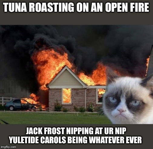 Burn Kitty | TUNA ROASTING ON AN OPEN FIRE; JACK FROST NIPPING AT UR NIP
YULETIDE CAROLS BEING WHATEVER EVER | image tagged in memes,burn kitty,grumpy cat | made w/ Imgflip meme maker
