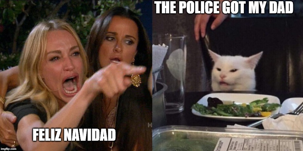 Woman yelling at cat | THE POLICE GOT MY DAD; FELIZ NAVIDAD | image tagged in woman yelling at cat | made w/ Imgflip meme maker
