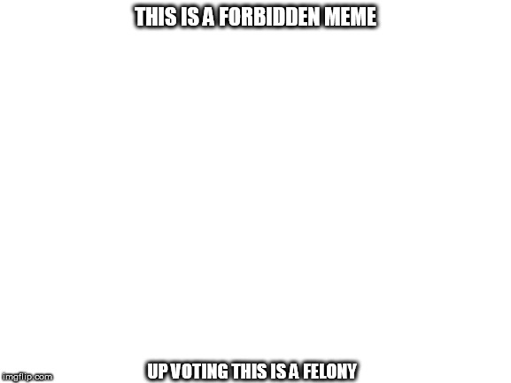 Blank White Template | THIS IS A FORBIDDEN MEME; UP VOTING THIS IS A FELONY | image tagged in blank white template | made w/ Imgflip meme maker