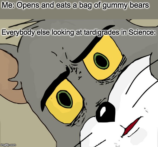 Unsettled Tom Meme | Me: Opens and eats a bag of gummy bears; Everybody else looking at tardigrades in Science: | image tagged in memes,unsettled tom | made w/ Imgflip meme maker