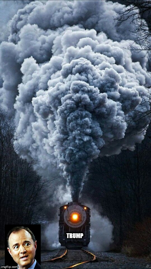 TRUMP TRAIN | TRUMP | image tagged in trump train | made w/ Imgflip meme maker