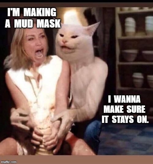 Woman yelling at cat | I'M  MAKING  A  MUD  MASK; I  WANNA  MAKE  SURE  IT  STAYS  ON. | image tagged in funny,meme | made w/ Imgflip meme maker