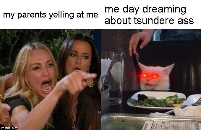 Woman Yelling At Cat Meme | my parents yelling at me; me day dreaming about tsundere ass | image tagged in memes,woman yelling at cat | made w/ Imgflip meme maker