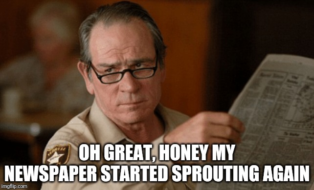 OH GREAT, HONEY MY NEWSPAPER STARTED SPROUTING AGAIN | made w/ Imgflip meme maker