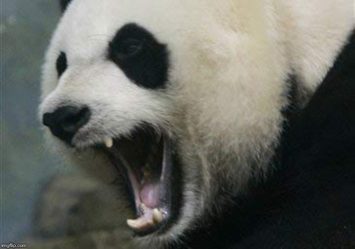 我說的不是蛇姬！是黃飛鴻！黃飛鴻～ | image tagged in angry panda | made w/ Imgflip meme maker