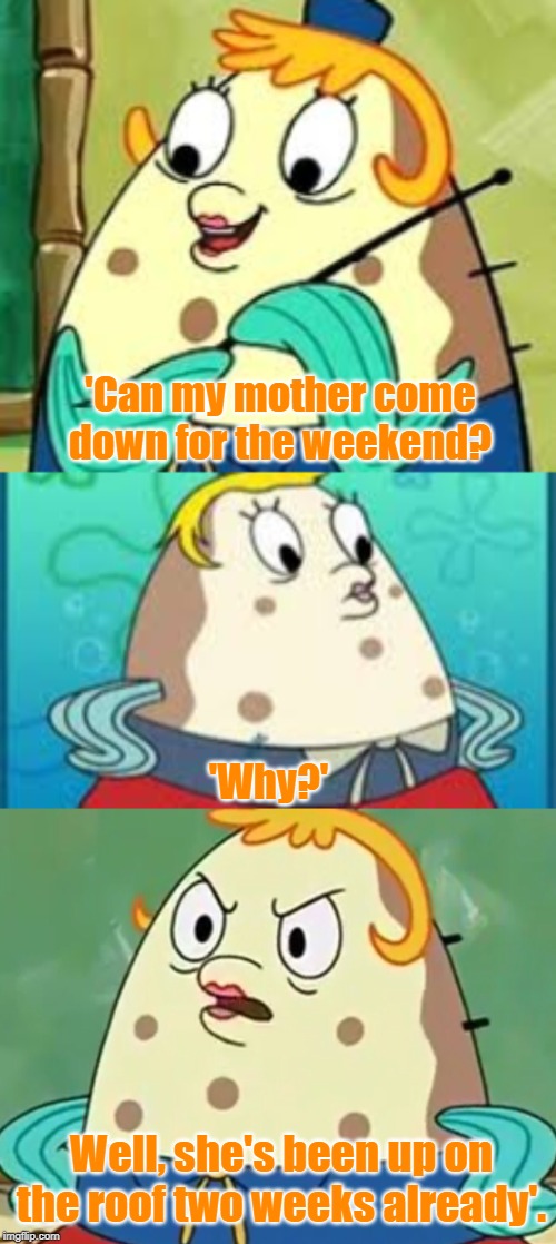 Mr & Mrs.Puff | 'Can my mother come down for the weekend? 'Why?'; Well, she's been up on the roof two weeks already'. | image tagged in funny | made w/ Imgflip meme maker