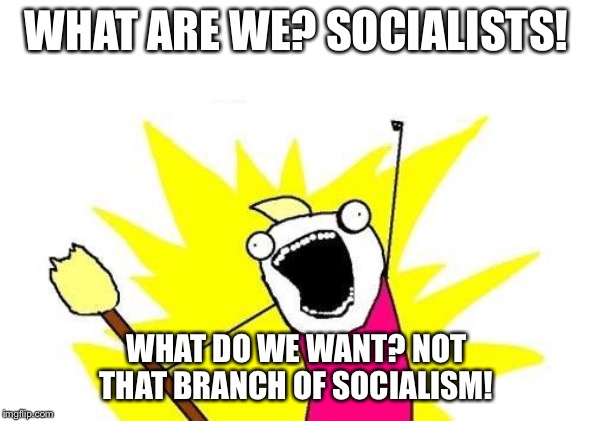 X All The Y Meme | WHAT ARE WE? SOCIALISTS! WHAT DO WE WANT? NOT THAT BRANCH OF SOCIALISM! | image tagged in memes,x all the y | made w/ Imgflip meme maker