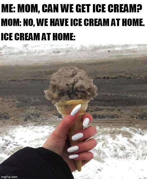 ME: MOM, CAN WE GET ICE CREAM? MOM: NO, WE HAVE ICE CREAM AT HOME. ICE CREAM AT HOME: | image tagged in blank white template,ice cream,food at home | made w/ Imgflip meme maker