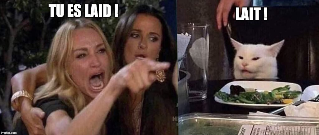 woman yelling at cat | LAIT ! TU ES LAID ! | image tagged in woman yelling at cat | made w/ Imgflip meme maker