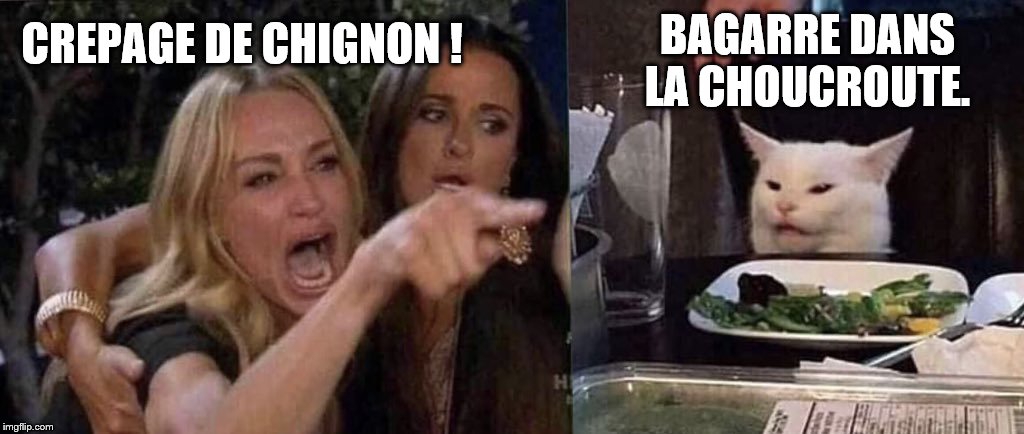 woman yelling at cat | BAGARRE DANS LA CHOUCROUTE. CREPAGE DE CHIGNON ! | image tagged in woman yelling at cat | made w/ Imgflip meme maker