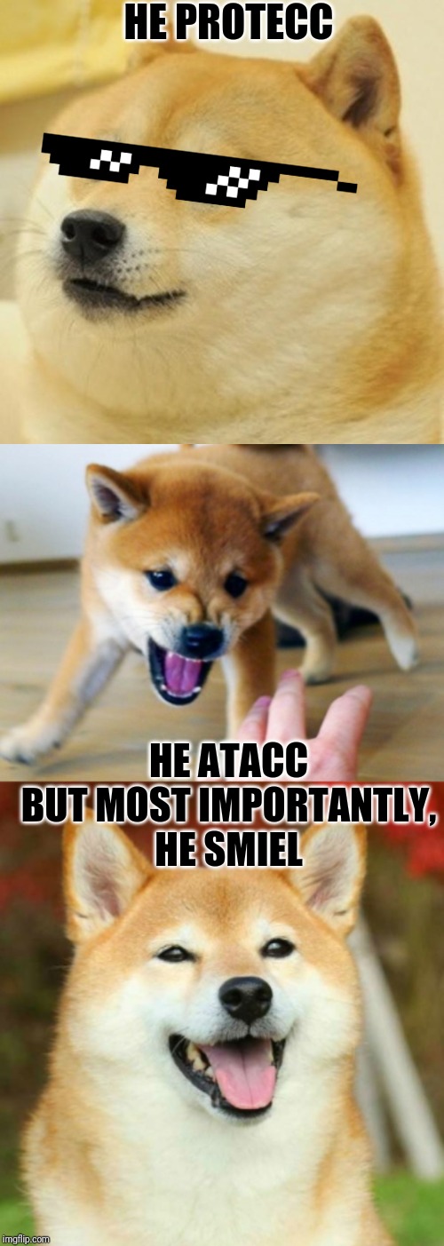 HE PROTECC; HE ATACC


BUT MOST IMPORTANTLY,
HE SMIEL | image tagged in memes,doge | made w/ Imgflip meme maker