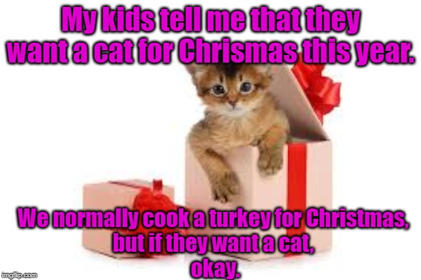 Want a cat for chrismas | My kids tell me that they want a cat for Chrismas this year. We normally cook a turkey for Christmas, 
but if they want a cat, 
okay. | image tagged in cat | made w/ Imgflip meme maker