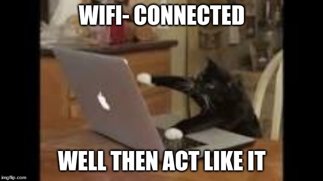 WIFI- CONNECTED; WELL THEN ACT LIKE IT | image tagged in cat,computer | made w/ Imgflip meme maker