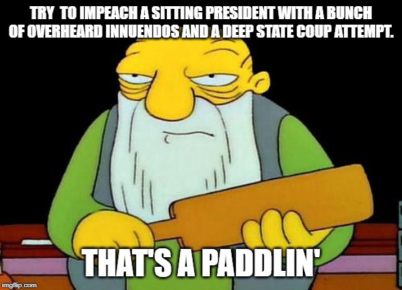 That's a paddlin Dems | TRY  TO IMPEACH A SITTING PRESIDENT WITH A BUNCH OF OVERHEARD INNUENDOS AND A DEEP STATE COUP ATTEMPT. THAT'S A PADDLIN' | image tagged in memes,that's a paddlin' | made w/ Imgflip meme maker