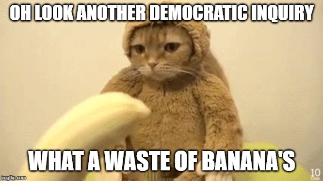 Monkey Cat | OH LOOK ANOTHER DEMOCRATIC INQUIRY; WHAT A WASTE OF BANANA'S | image tagged in monkey cat | made w/ Imgflip meme maker