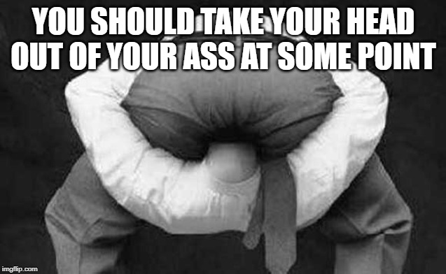 Head up ass  | YOU SHOULD TAKE YOUR HEAD OUT OF YOUR ASS AT SOME POINT | image tagged in head up ass | made w/ Imgflip meme maker