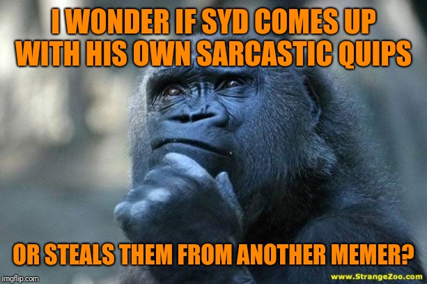 Deep Thoughts | I WONDER IF SYD COMES UP WITH HIS OWN SARCASTIC QUIPS OR STEALS THEM FROM ANOTHER MEMER? | image tagged in deep thoughts | made w/ Imgflip meme maker