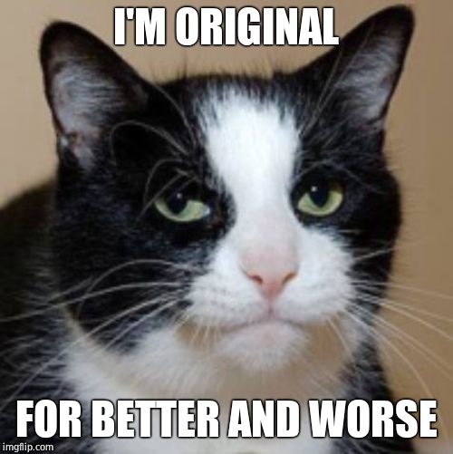 Too much cat | I'M ORIGINAL FOR BETTER AND WORSE | image tagged in too much cat | made w/ Imgflip meme maker