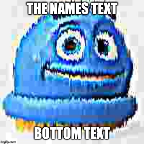 The Names Text | THE NAMES TEXT; BOTTOM TEXT | image tagged in funny memes,dank memes | made w/ Imgflip meme maker