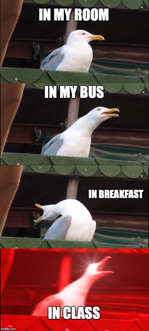 Inhaling Seagull Meme | IN MY ROOM; IN MY BUS; IN BREAKFAST; IN CLASS | image tagged in memes,inhaling seagull | made w/ Imgflip meme maker